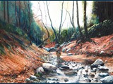Oil, The Gorge near Eleutherna Crete. 30 x 40